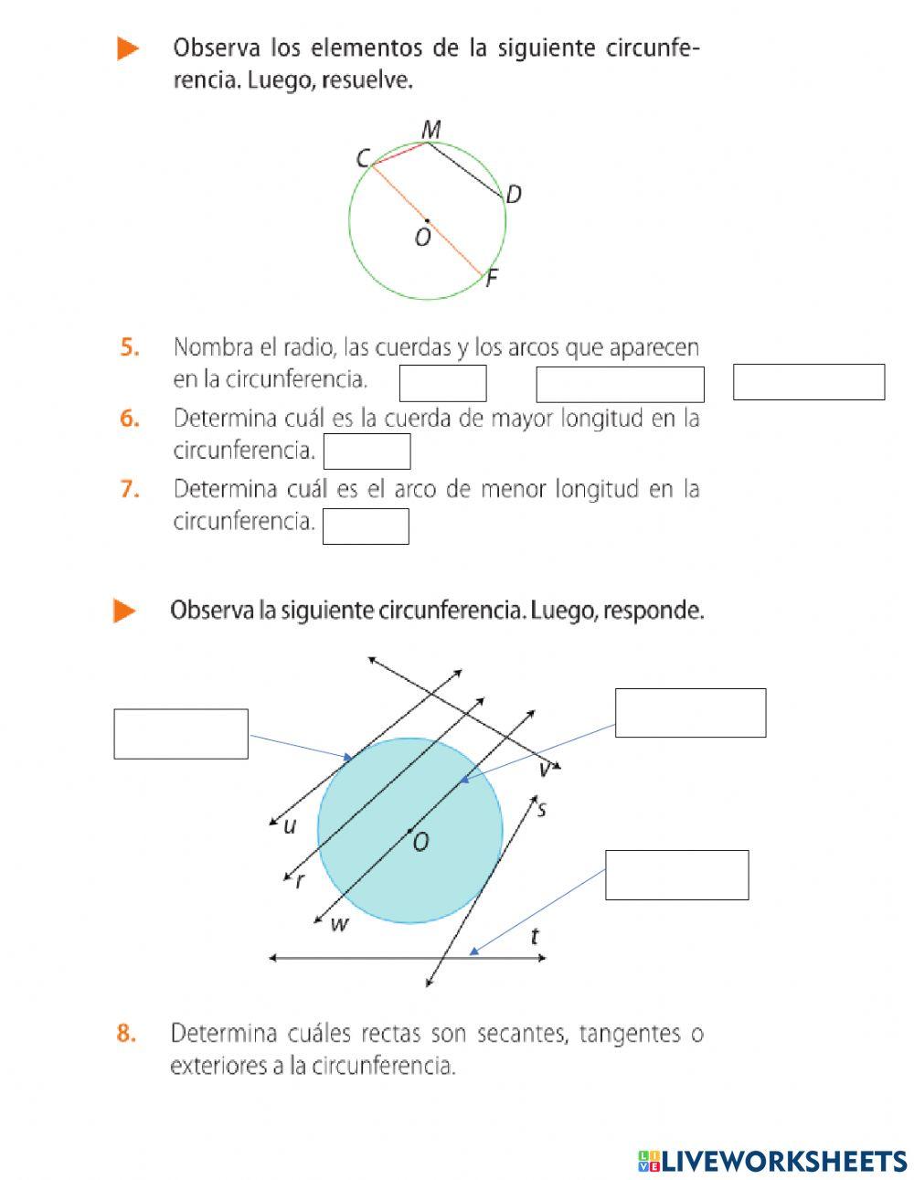Círculo y circunferencia Círculo y circunferencia