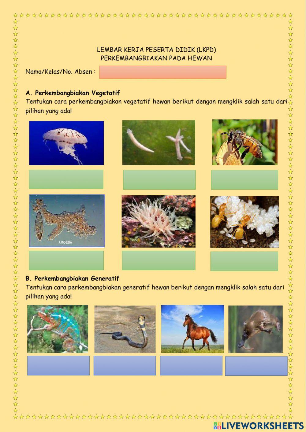 Perkembangbiakan hewan