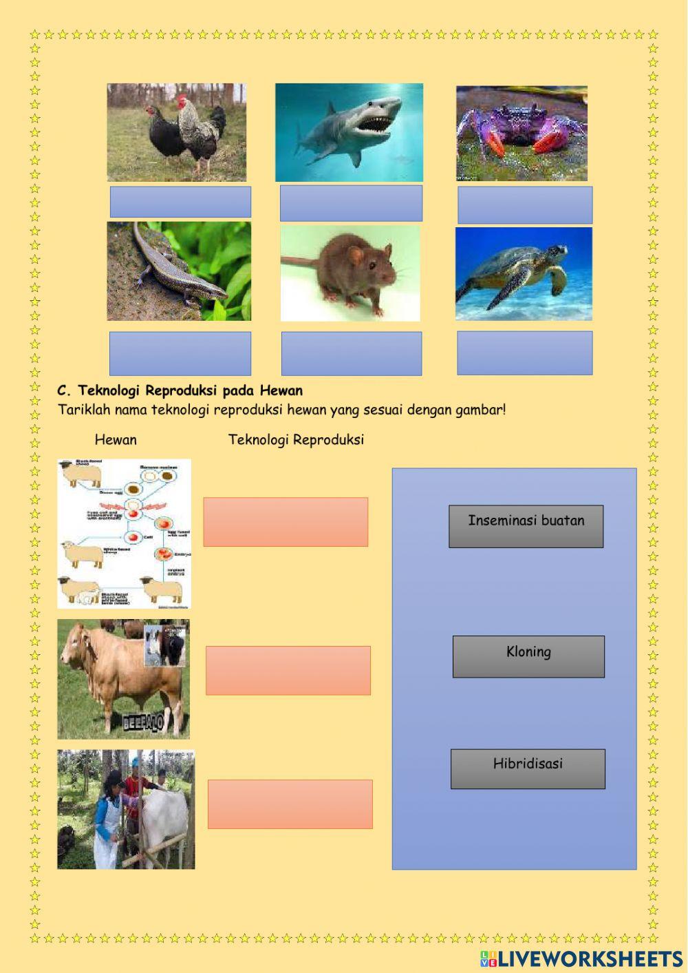 Perkembangbiakan hewan