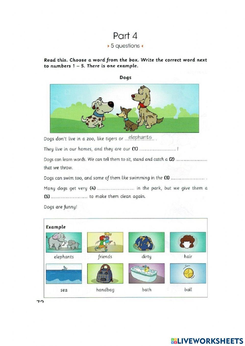 SKILL BUILDER STARTERS 1 - MỚI - UNIT 5 - READING AND WRITING