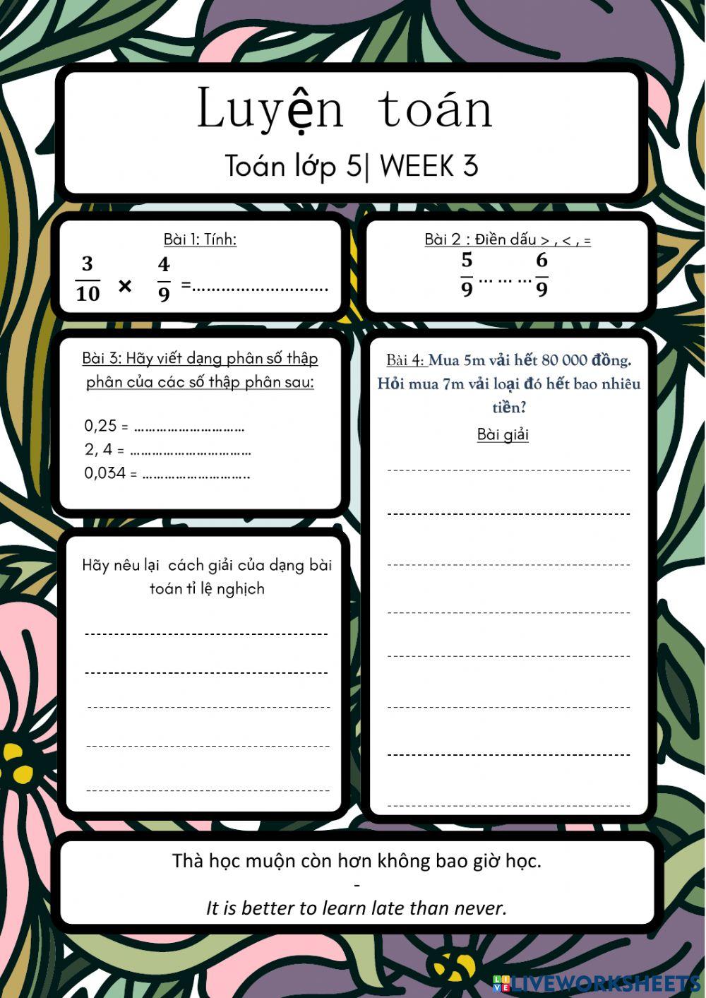 Ôn tập toán lớp 5 tuần 3