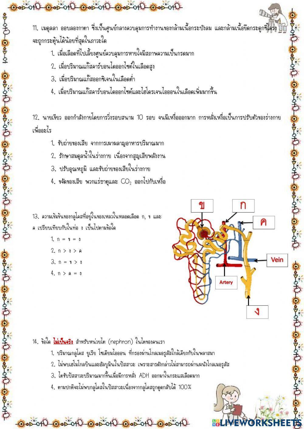 ข้อสอบ  การรักษาดุลยภาพ