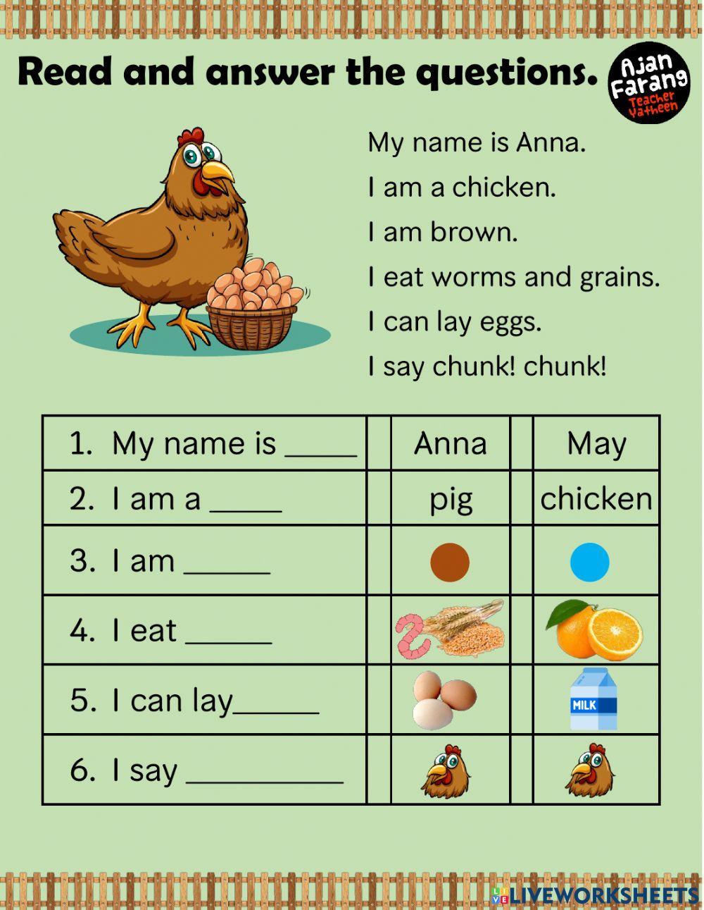Animal:CHICKEN