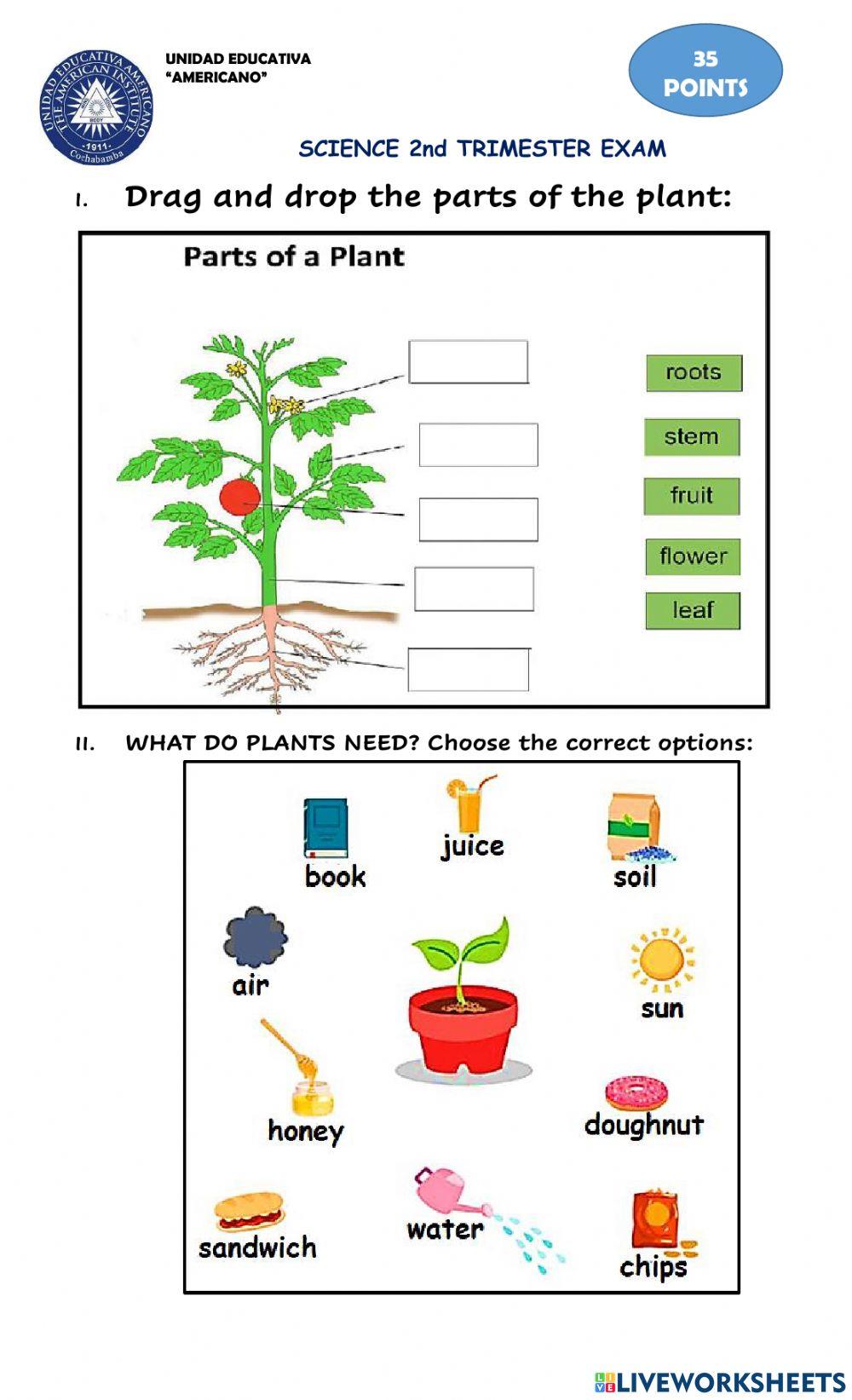 Science 2° trimester evaluation (1)