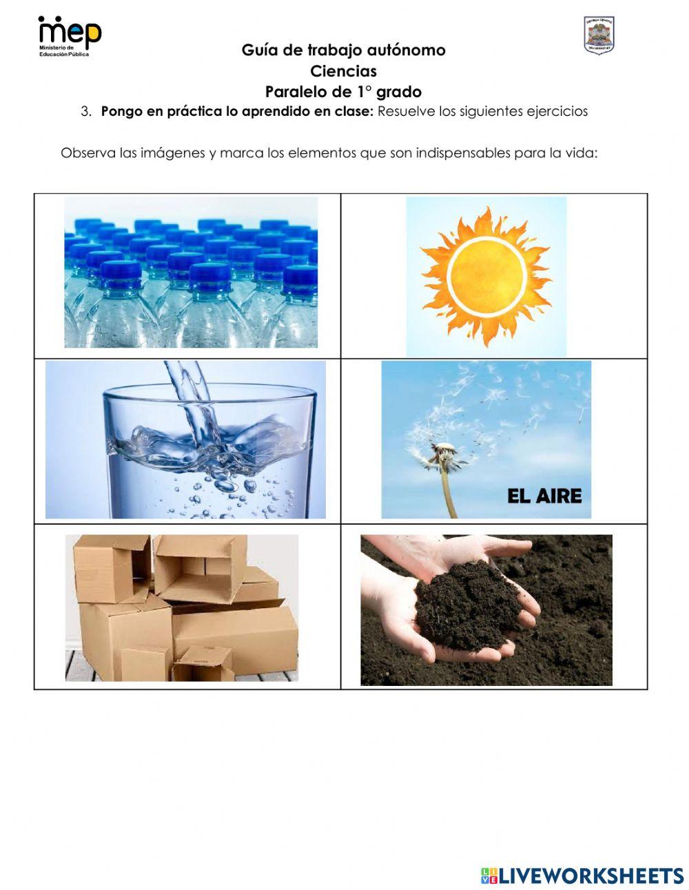 GTA -2 Agosto Ciencias sección 1-1