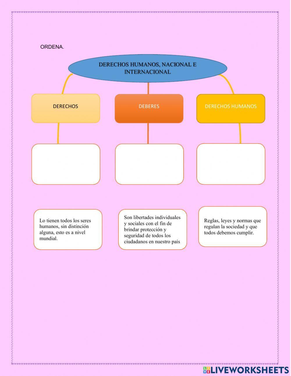 Democracia y derechos