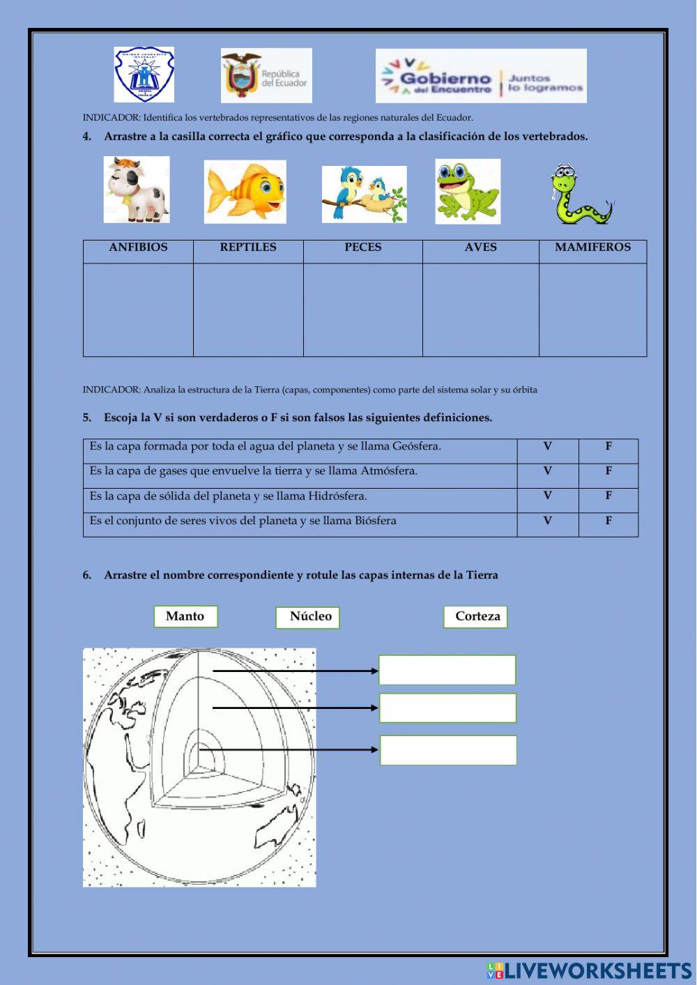 Evaluación diagnóstica ciencias