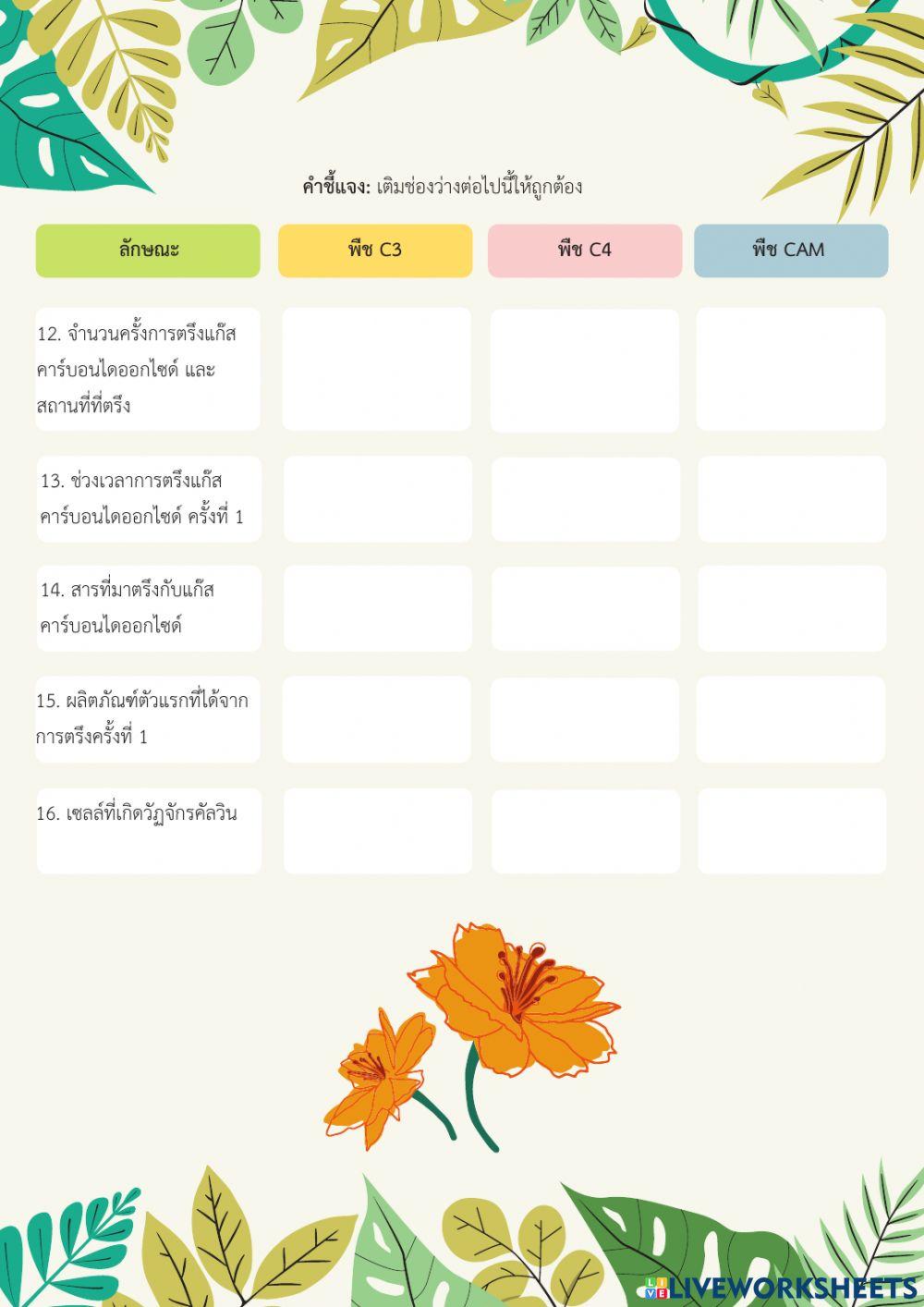 การสังเคราะห์ด้วยแสง