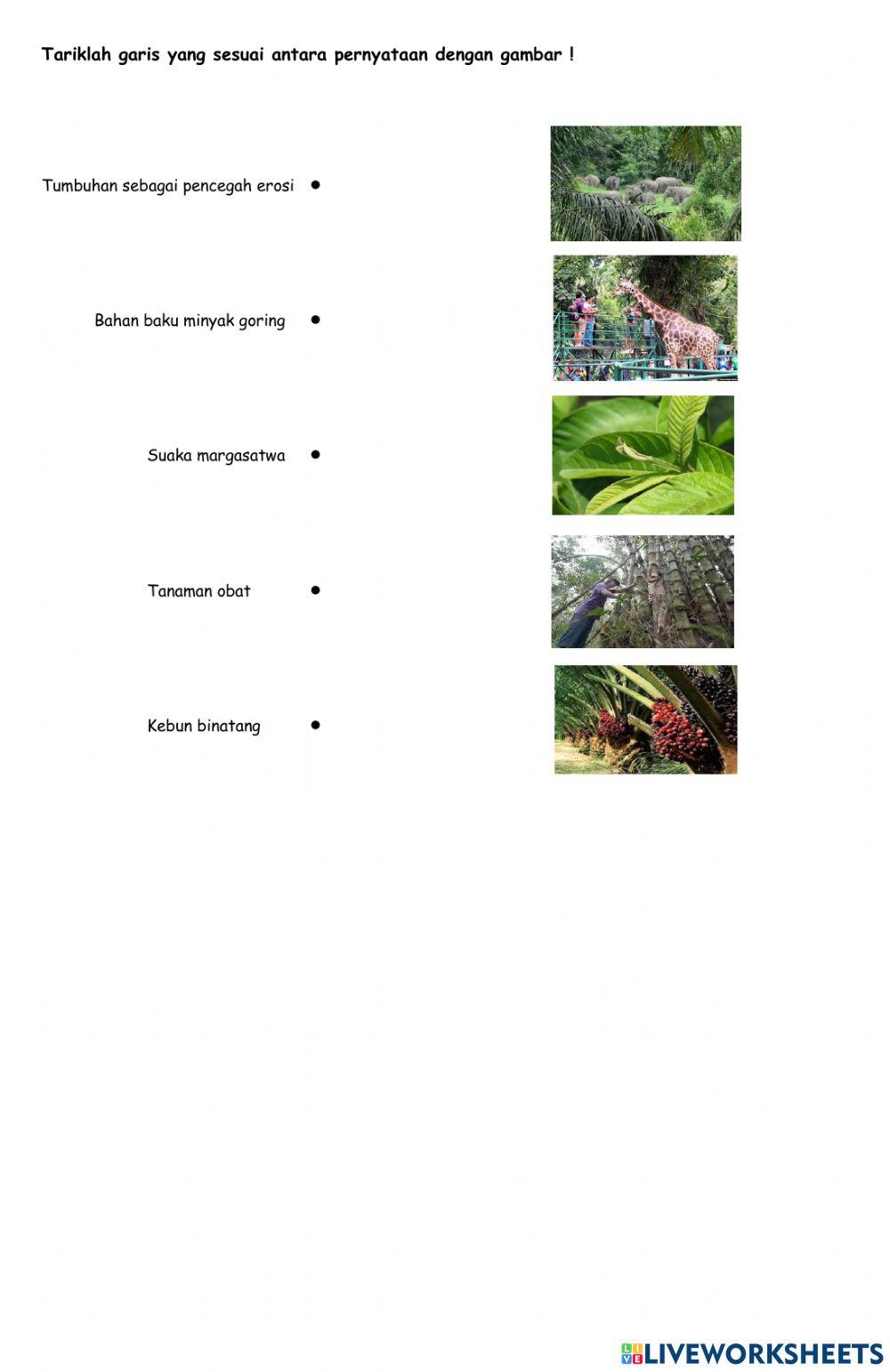 Mengupas Tuntas Soal IPA Tema 2 Subtema 3 Kelas 5: Menyelami Kekuatan Energi dan Perubahannya Mengupas Tuntas Soal IPA Tema 2 Subtema 3 Kelas 5: Menyelami Kekuatan Energi dan Perubahannya