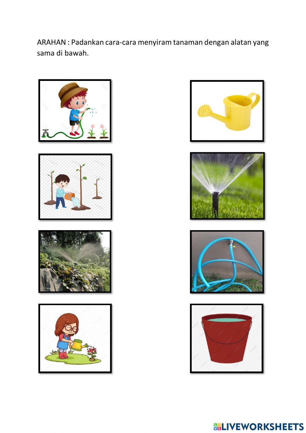 Cara-cara menyiram tanaman