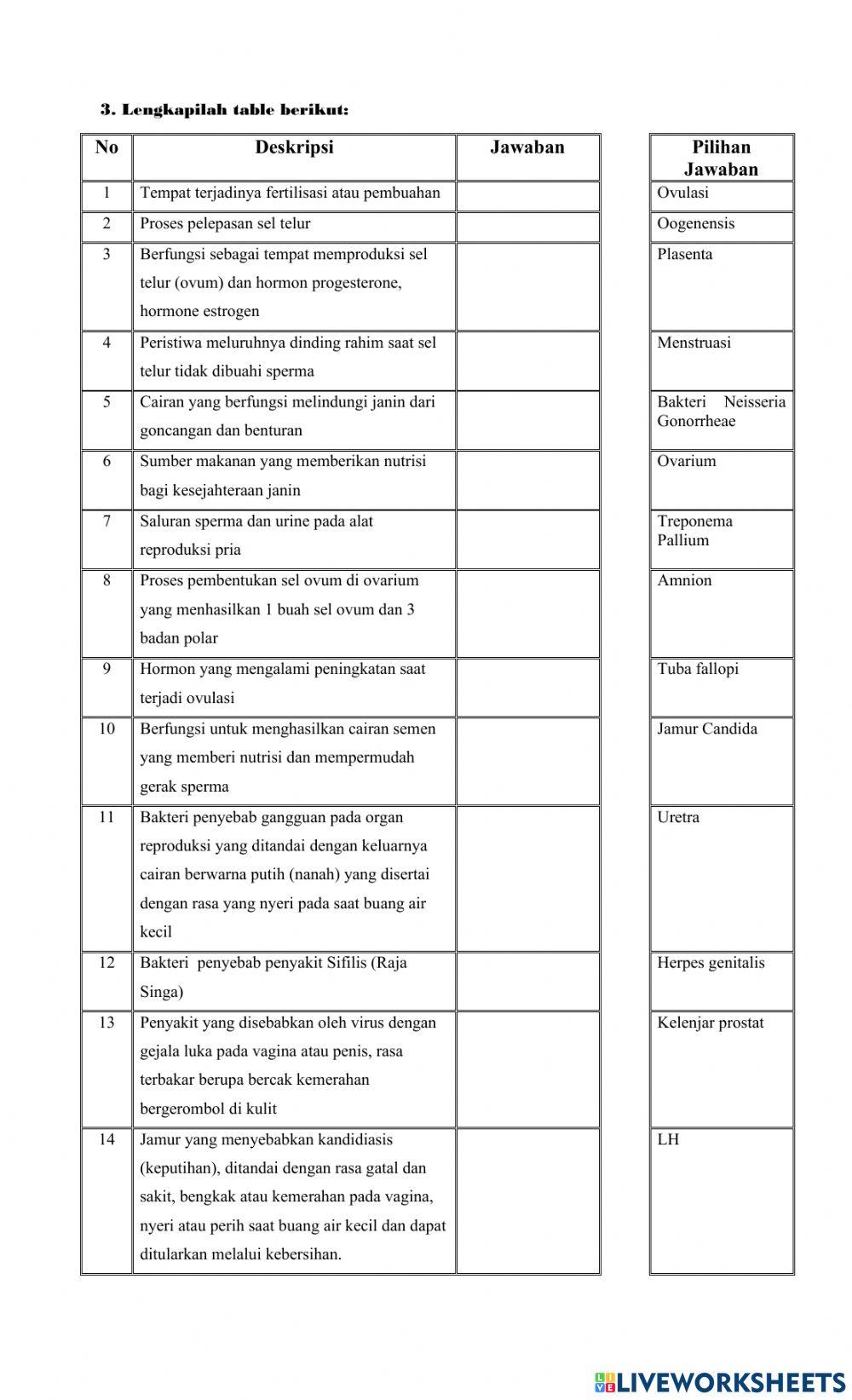 Sistem Reproduksi Manusia