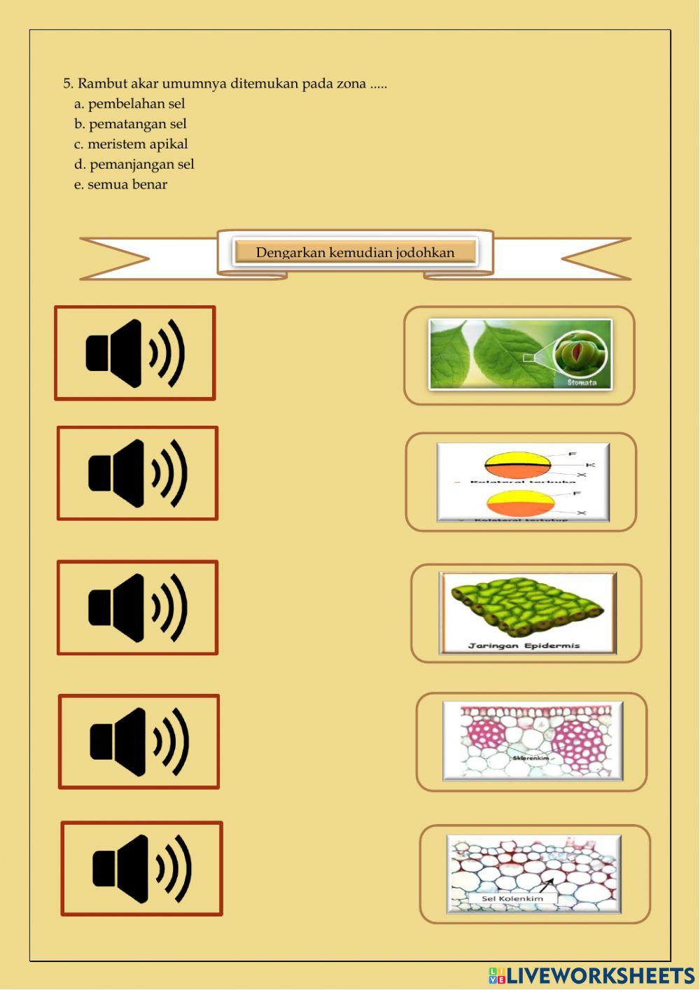 Ulangan j. tumbuhan & j. hewan