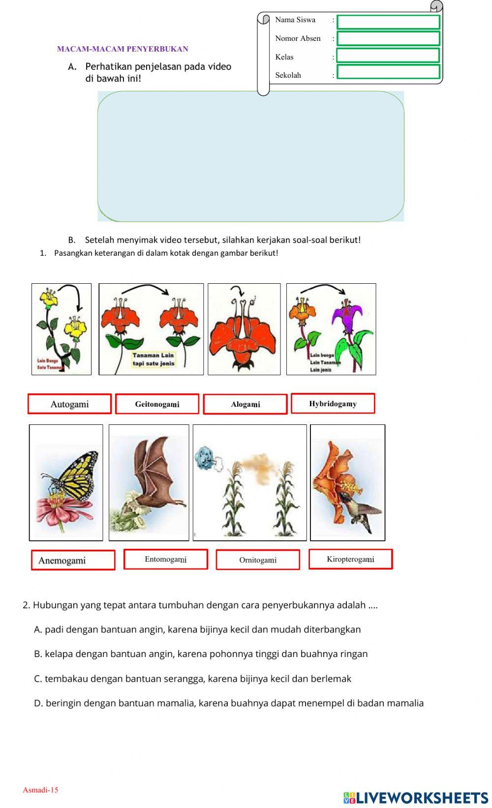 Macam-macam penyerbukan