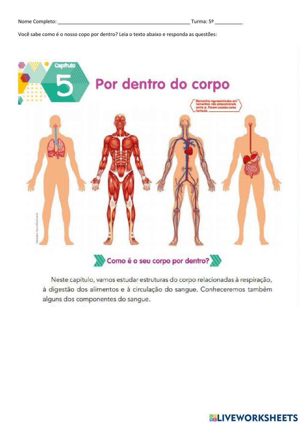 Corpo interno