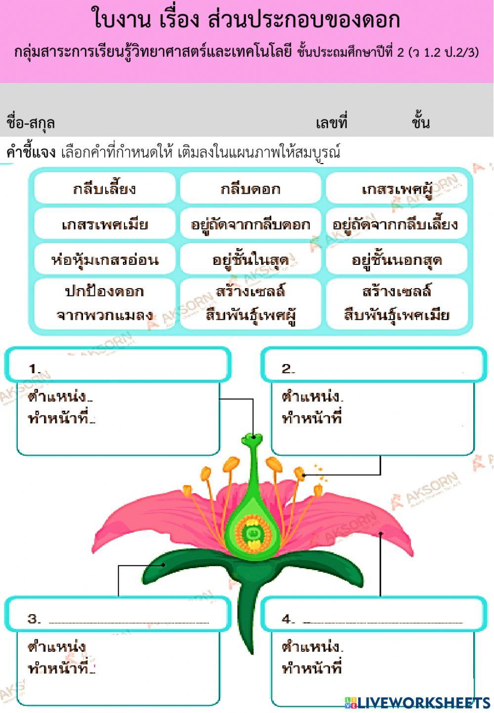ส่วนประกอบของดอก