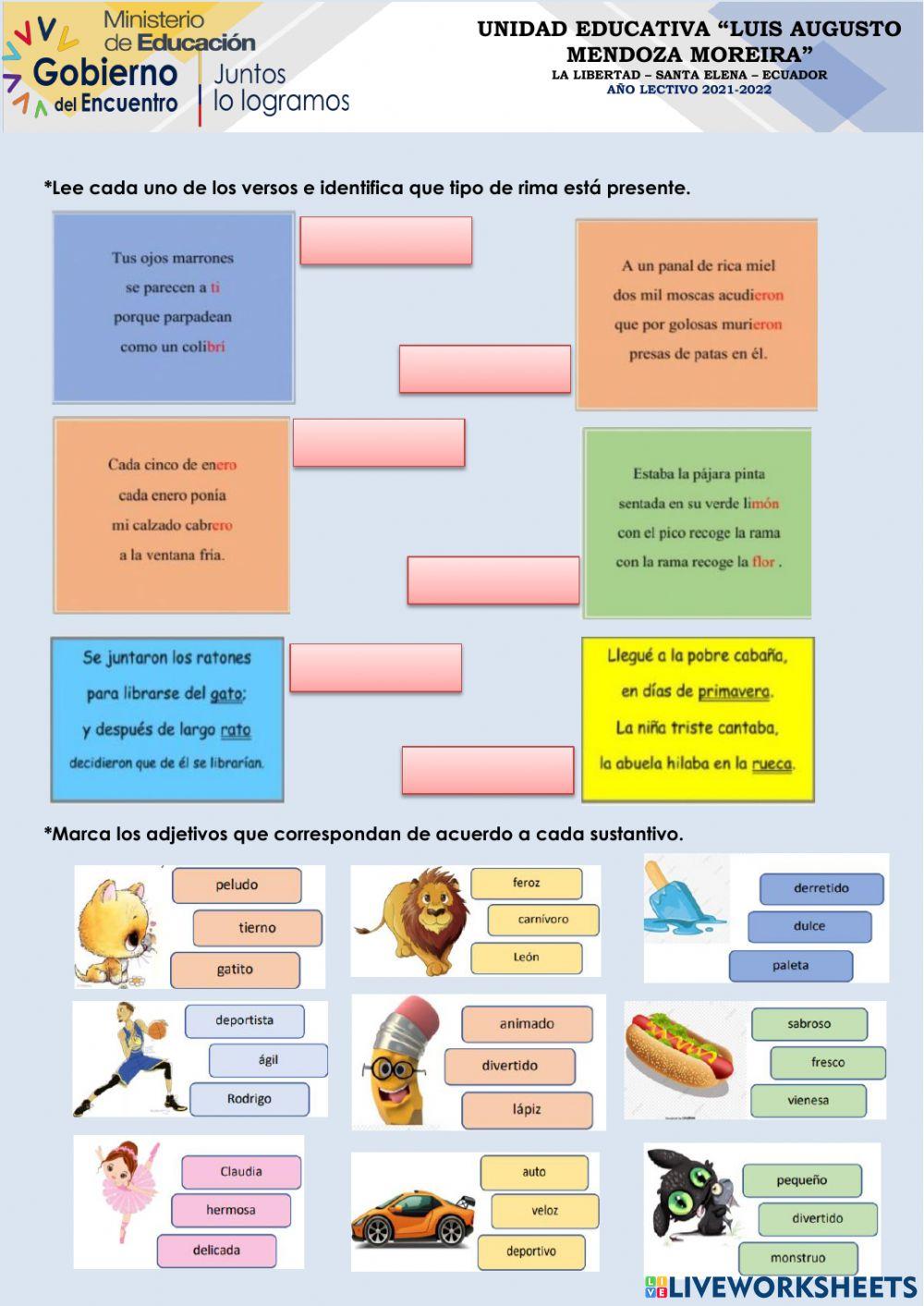 Repaso quimestral septimo