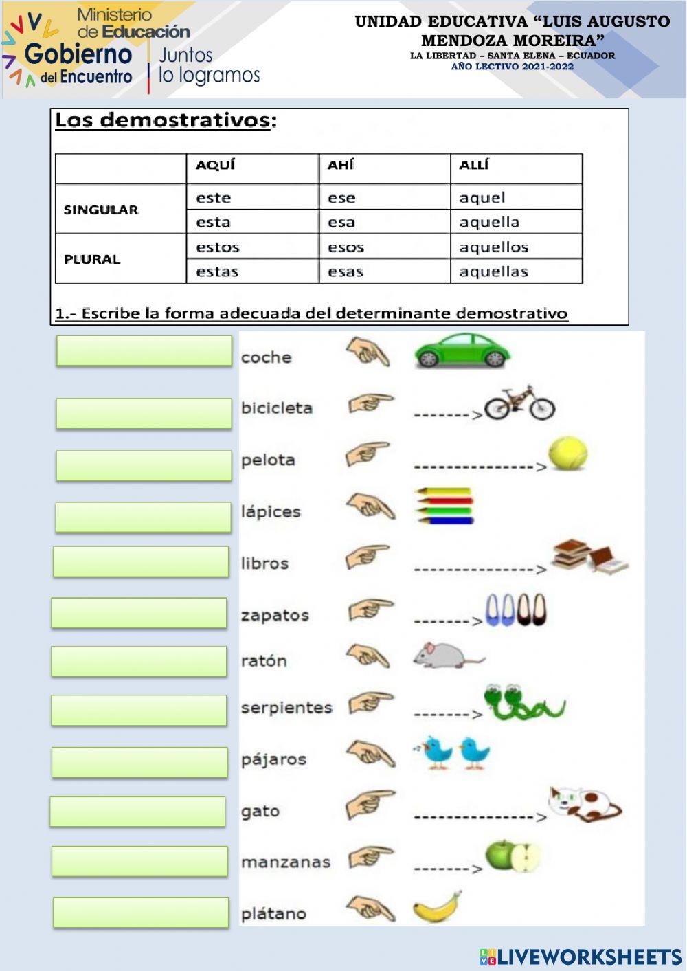 Repaso quimestral septimo