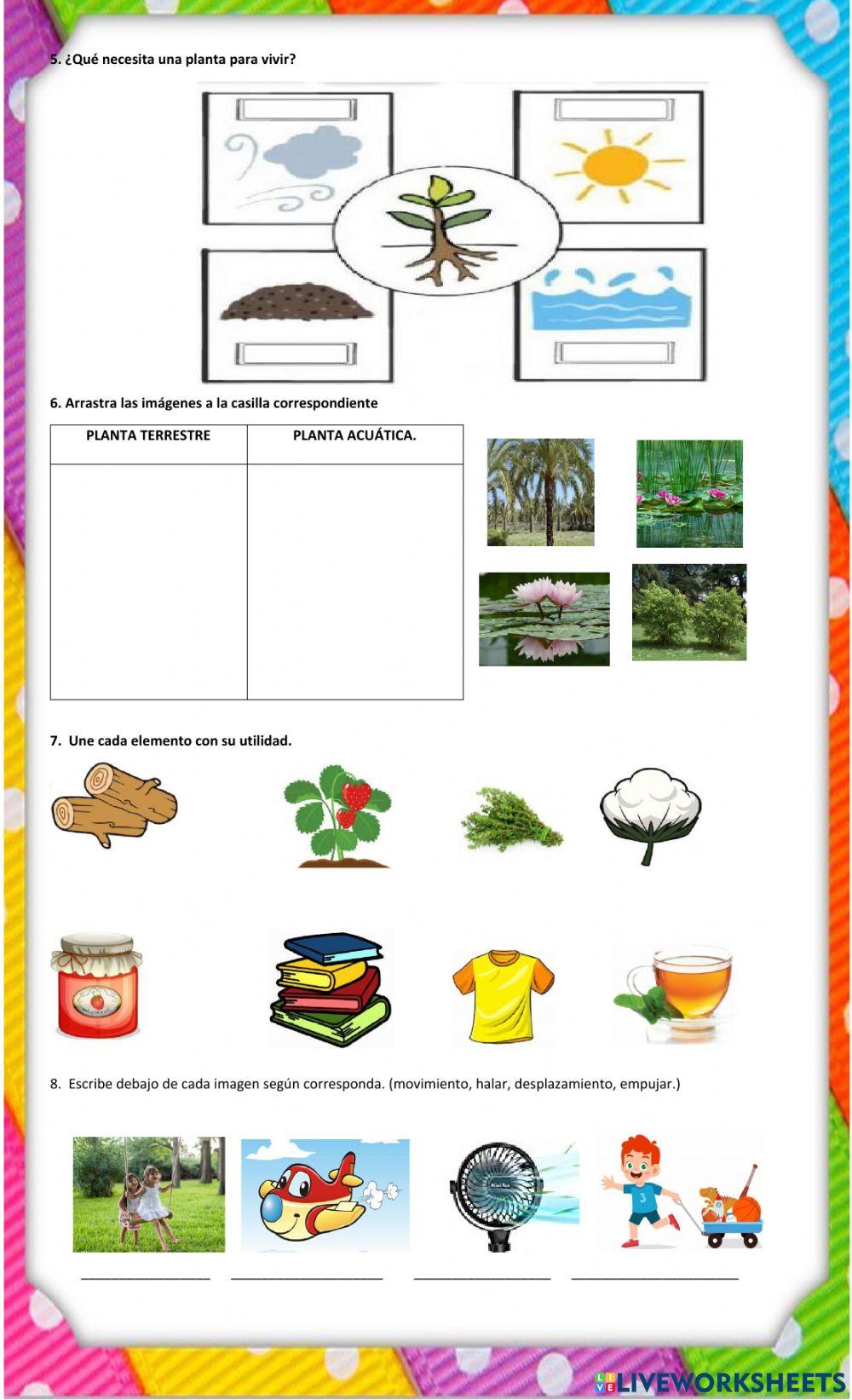 Evaluación ciencias naturales