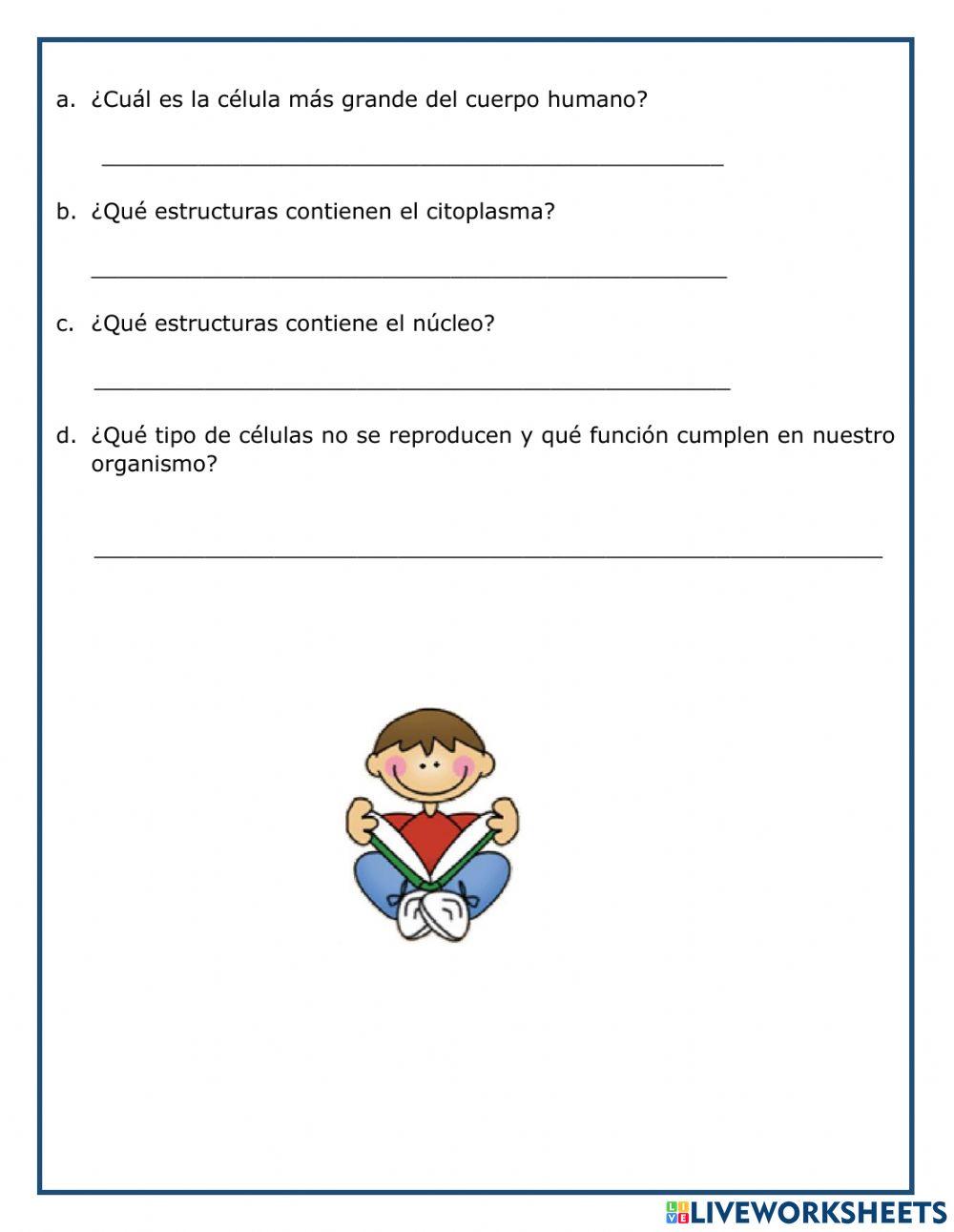 Evaluación Español