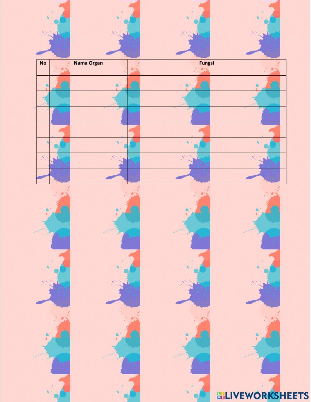 Organ pencernaan manusia