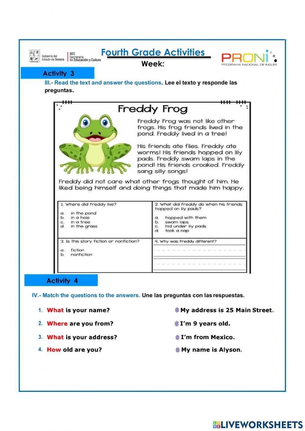 4th Grade Diagnostic 02