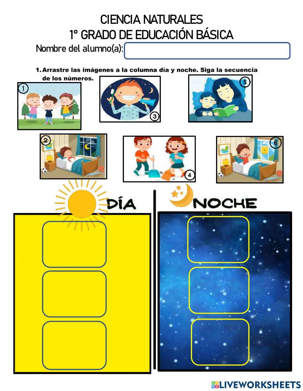 Hoja de trabajo CI 1° grado (Forma 1)