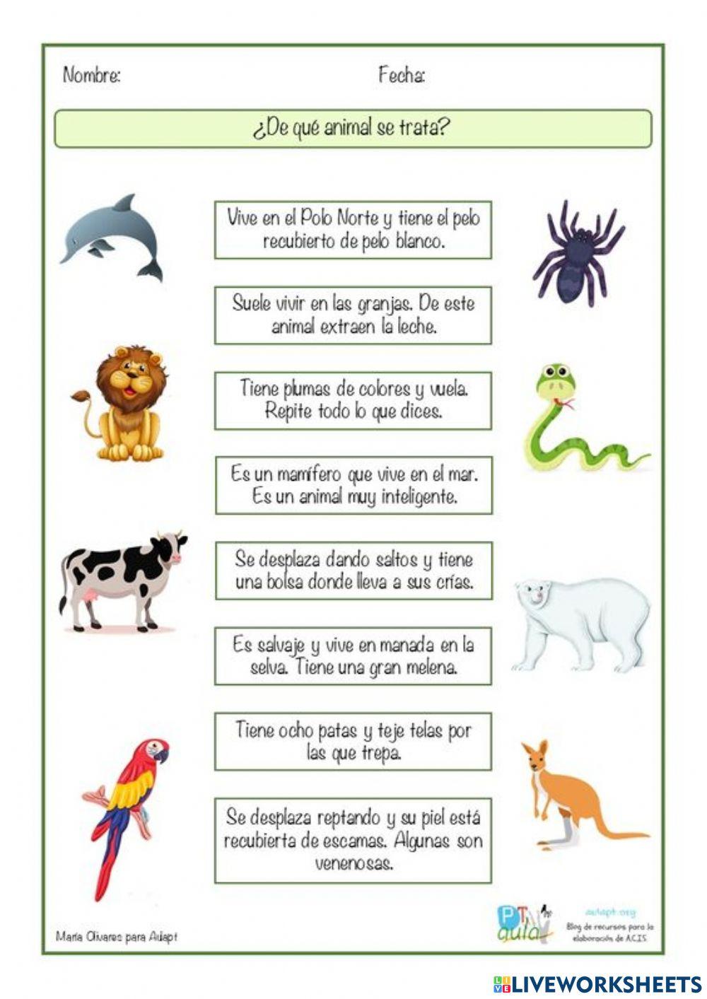 Relaciona los animales