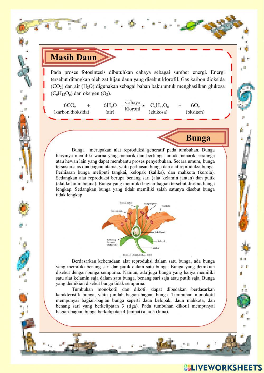 Struktur dan Fungsi Organ Tumbuhan