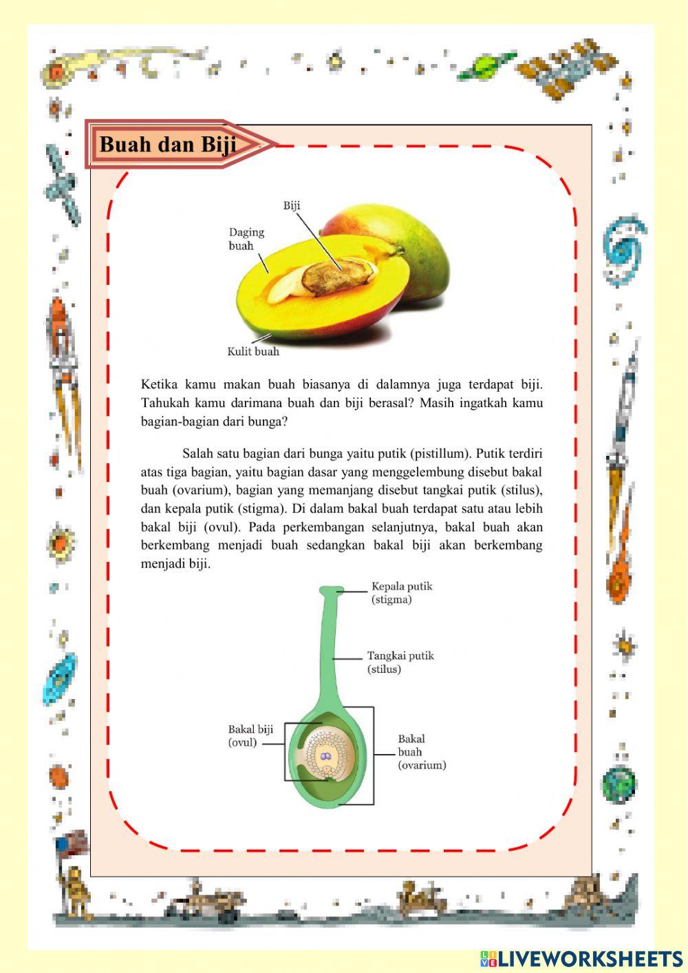 Struktur dan Fungsi Organ Tumbuhan