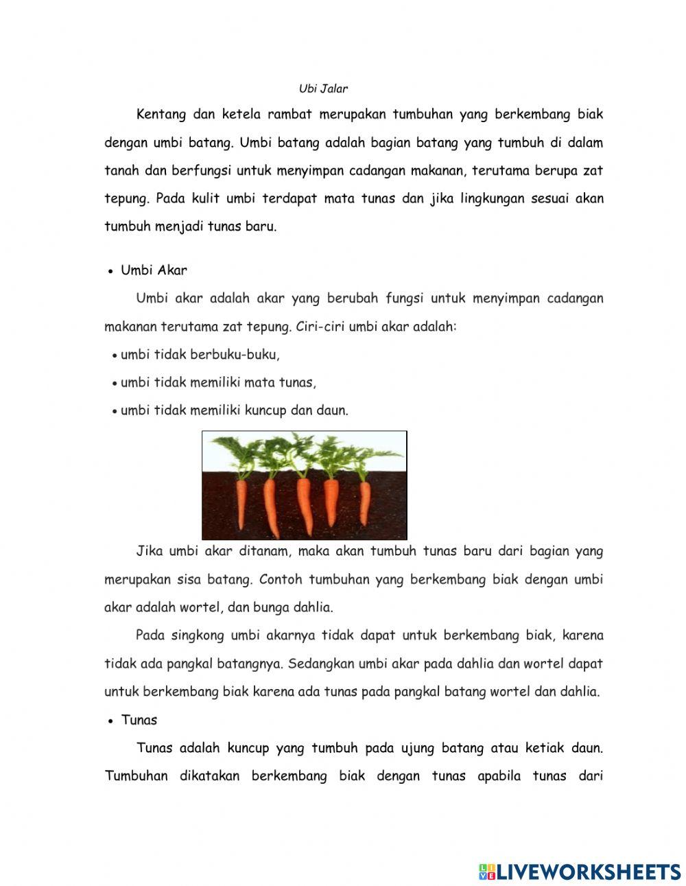 Materi Perkembangbiakkan Tumbuhan secara Vegetatif