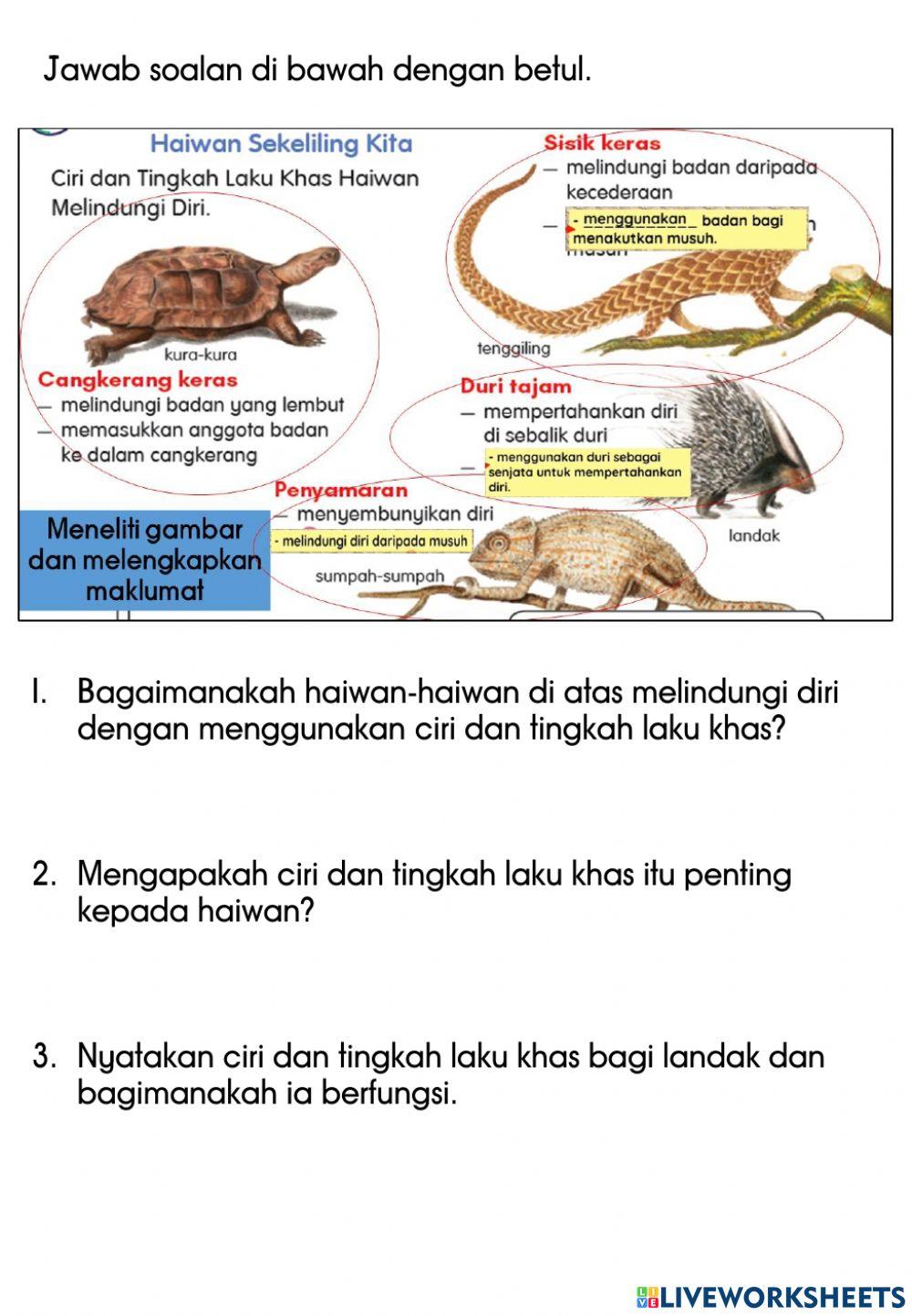 Haiwan keliling kita