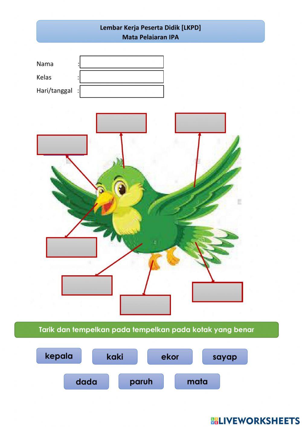 Perkembangbiakan hewan