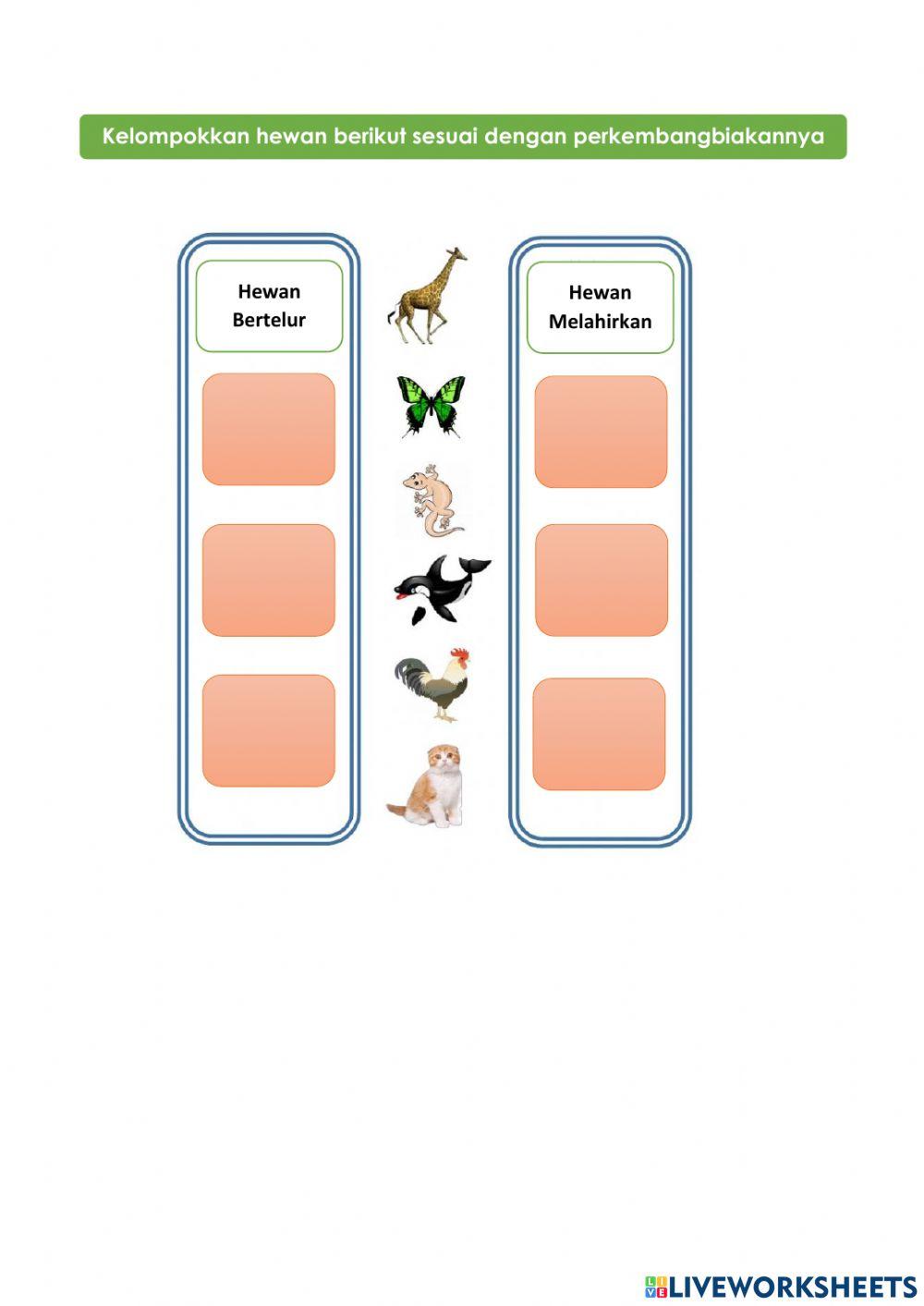 Perkembangbiakan hewan