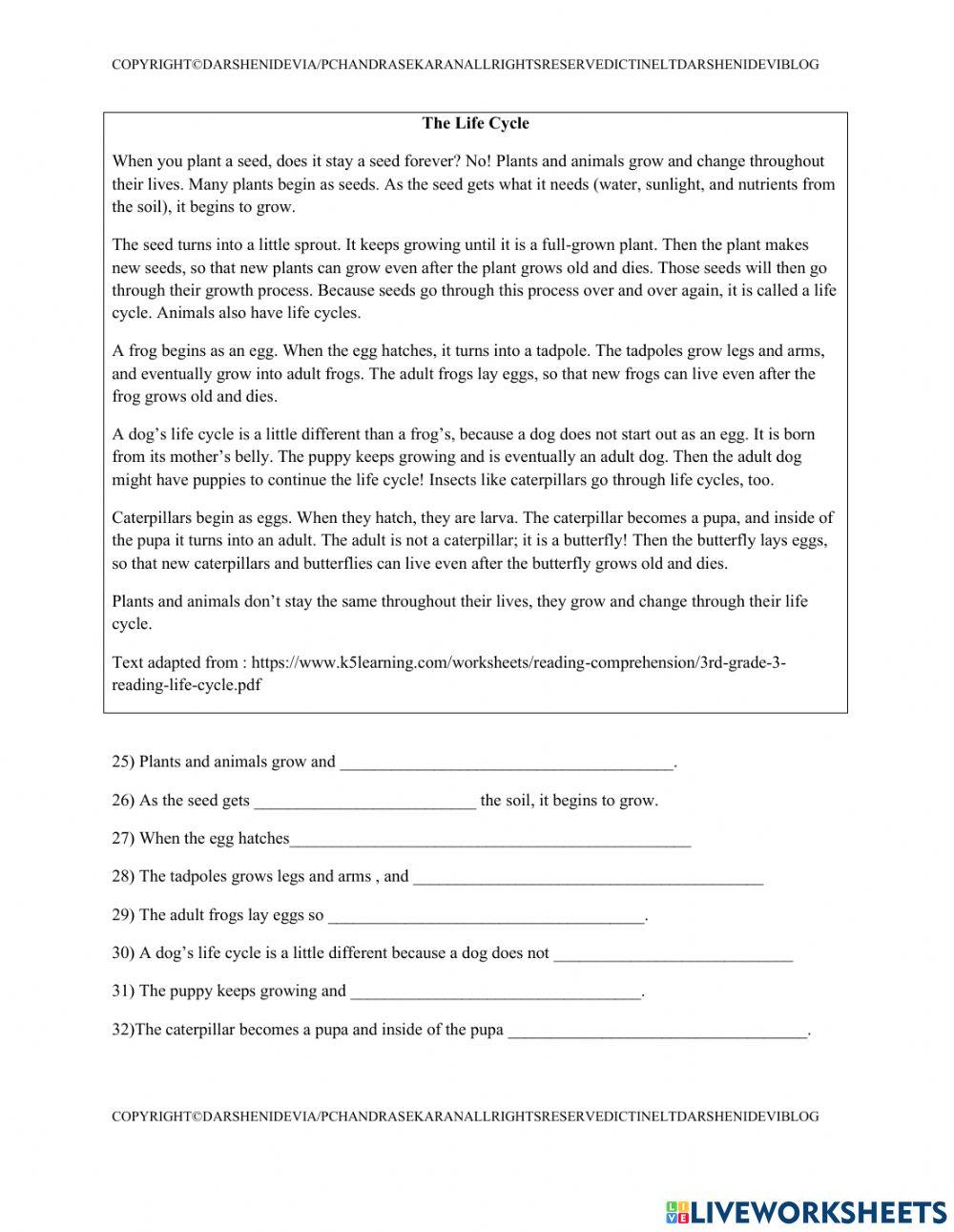 Pt3 reading paper complete set