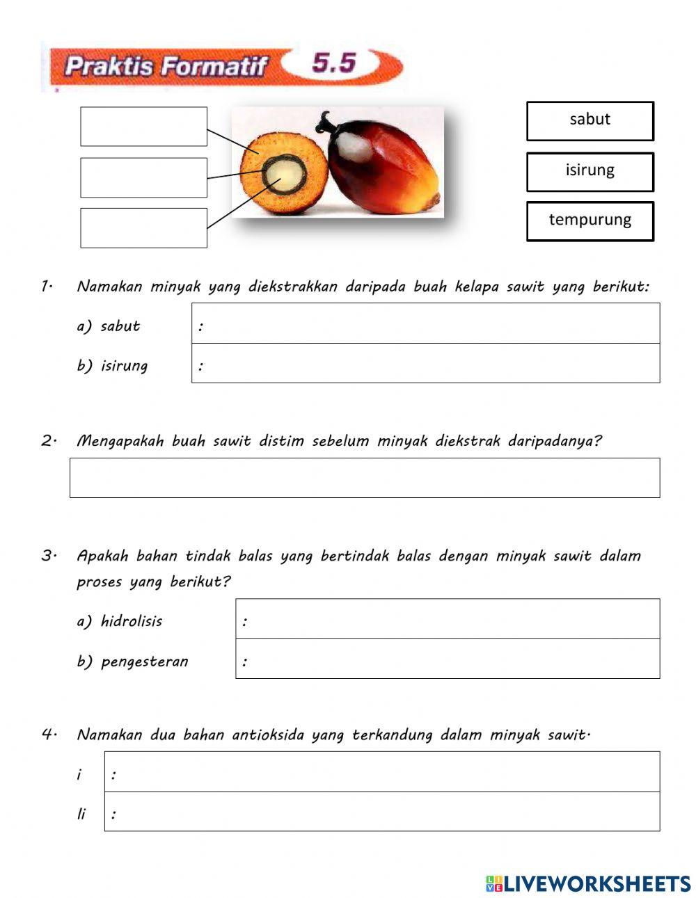 Praktis Formatif 5.5