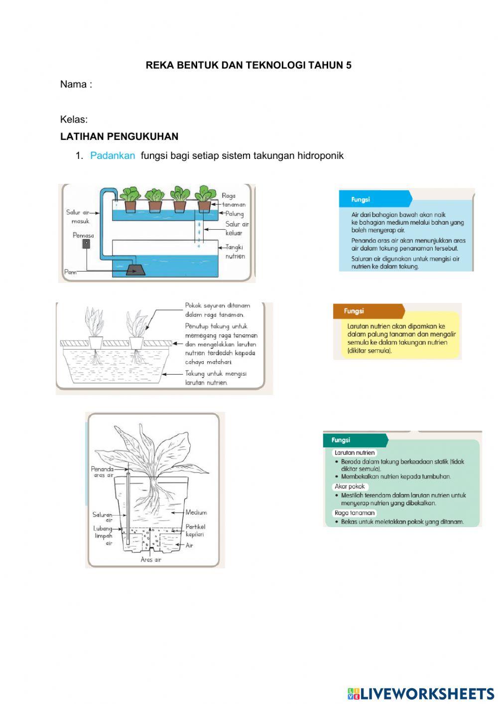 Hidroponik takung tahun 5
