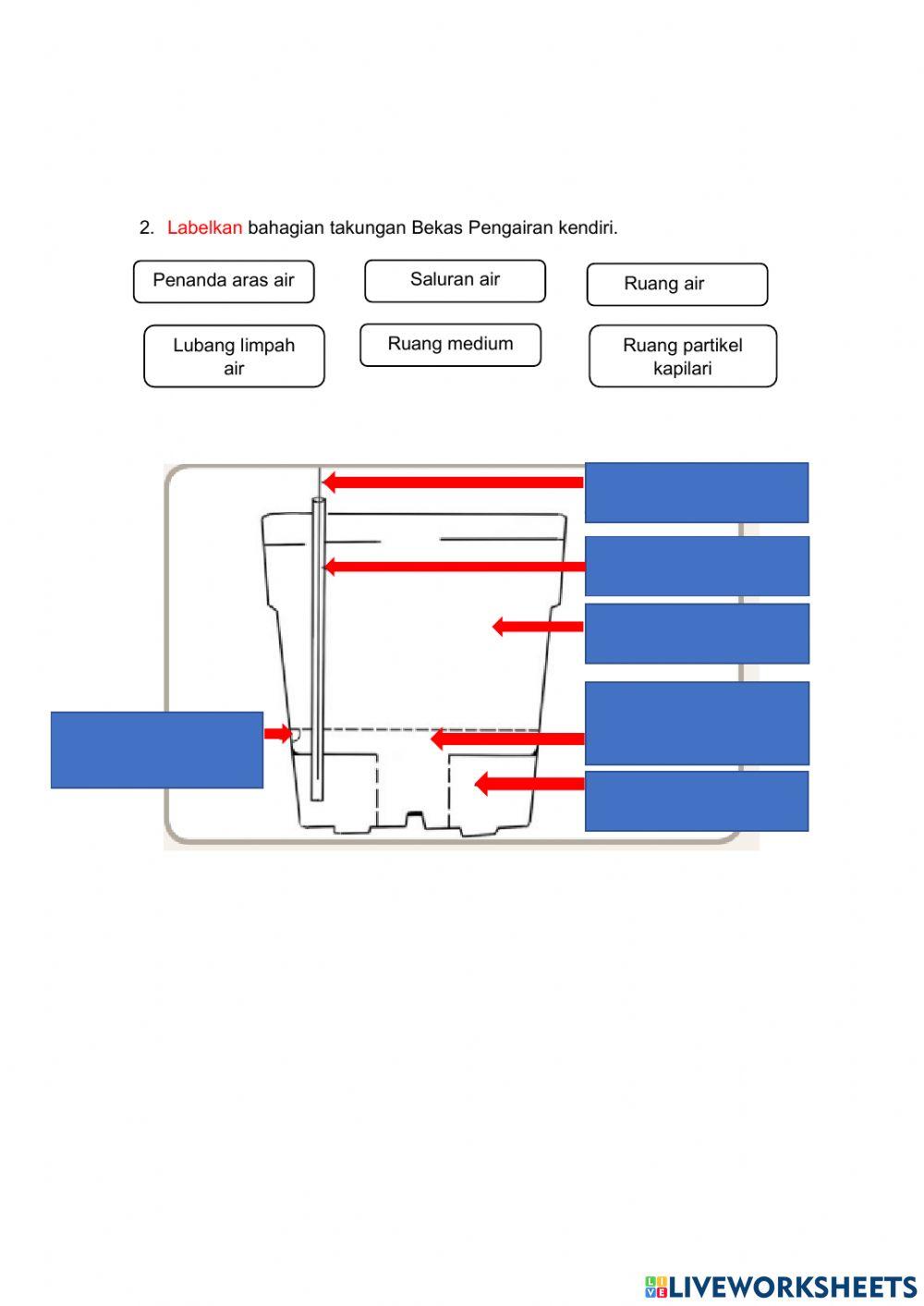 Hidroponik takung tahun 5