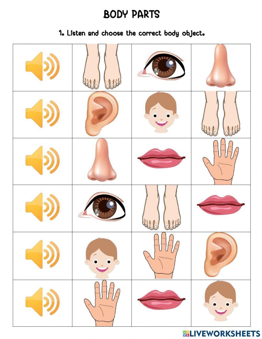 Body part Body part