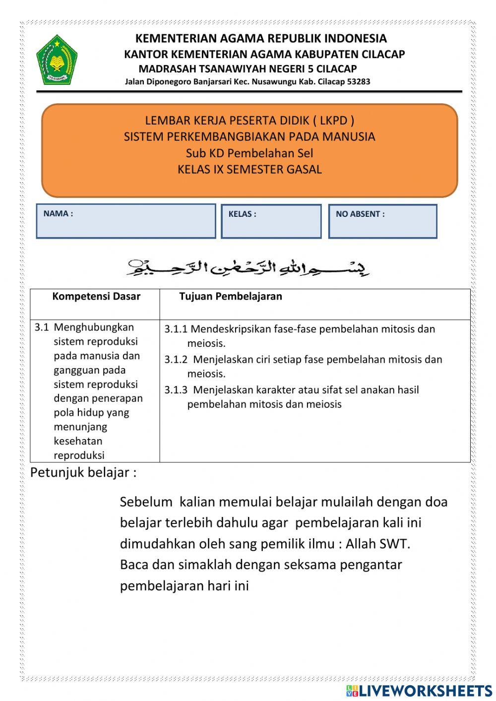 Sistem Reproduksi Manusia