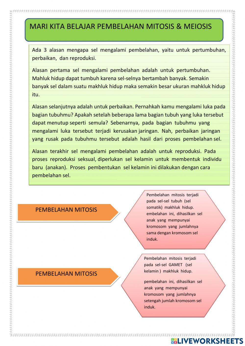 Sistem Reproduksi Manusia