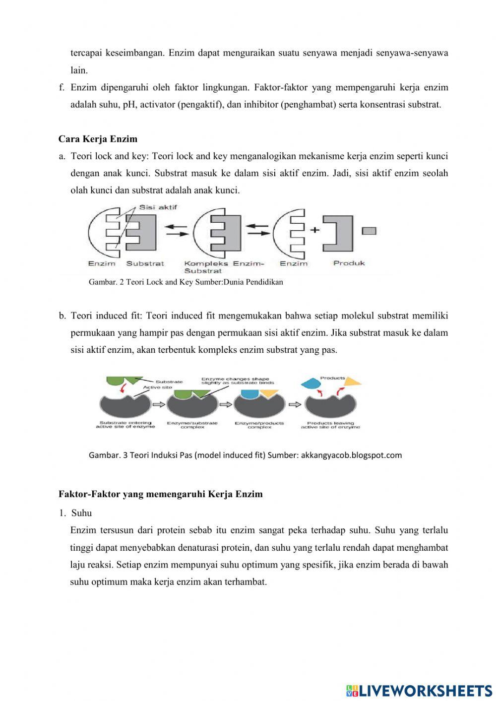 Kelas XII-Latihan Soal Enzim