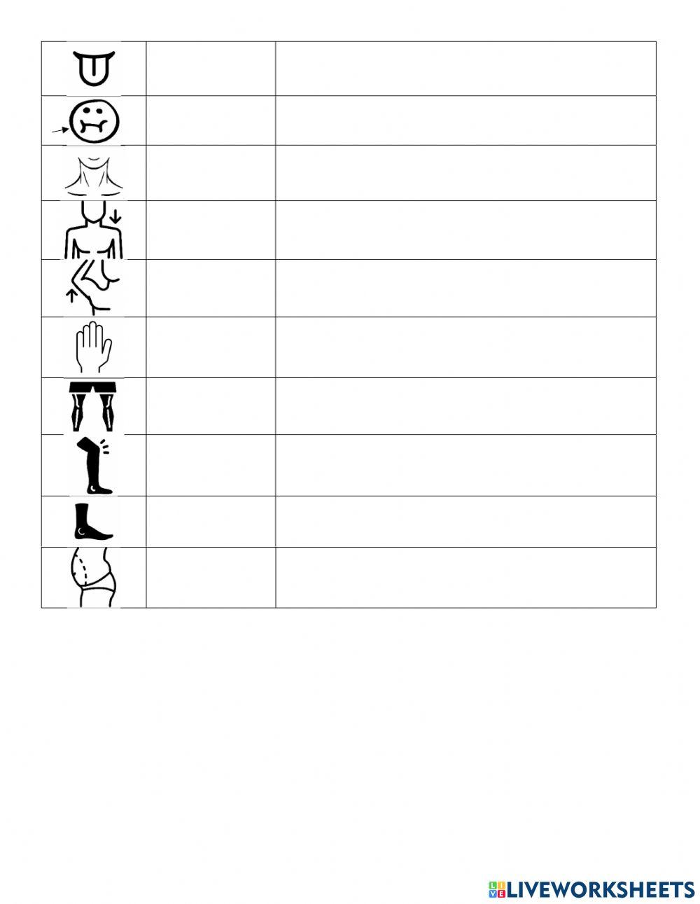 Body parts and what can you do with them