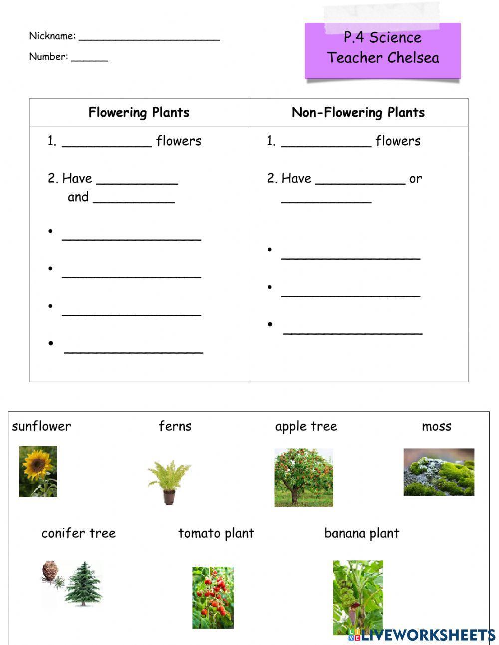 Flowering vs. Non-flowering plants