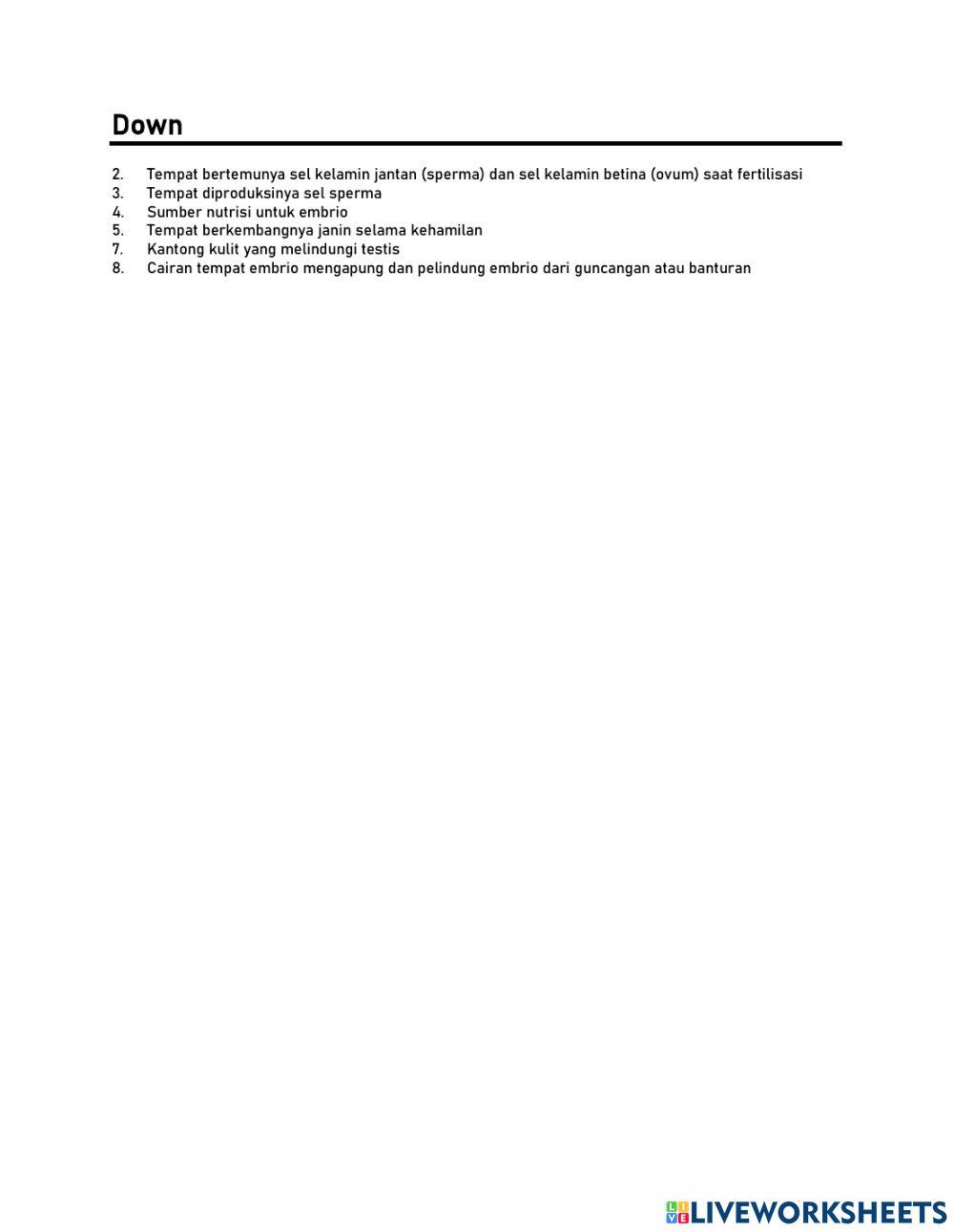 Sistem Reproduksi Manusia