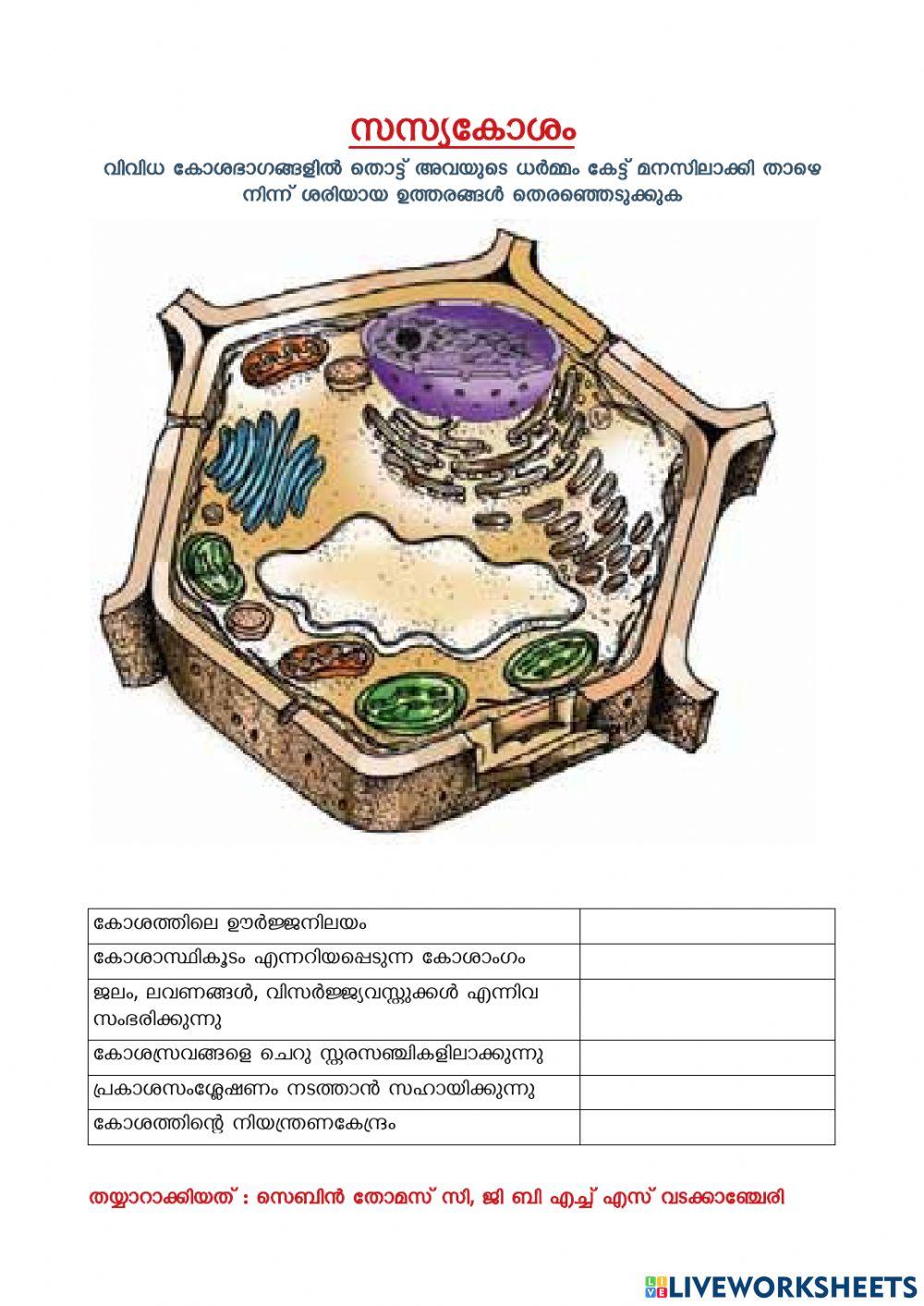 Cell organelles