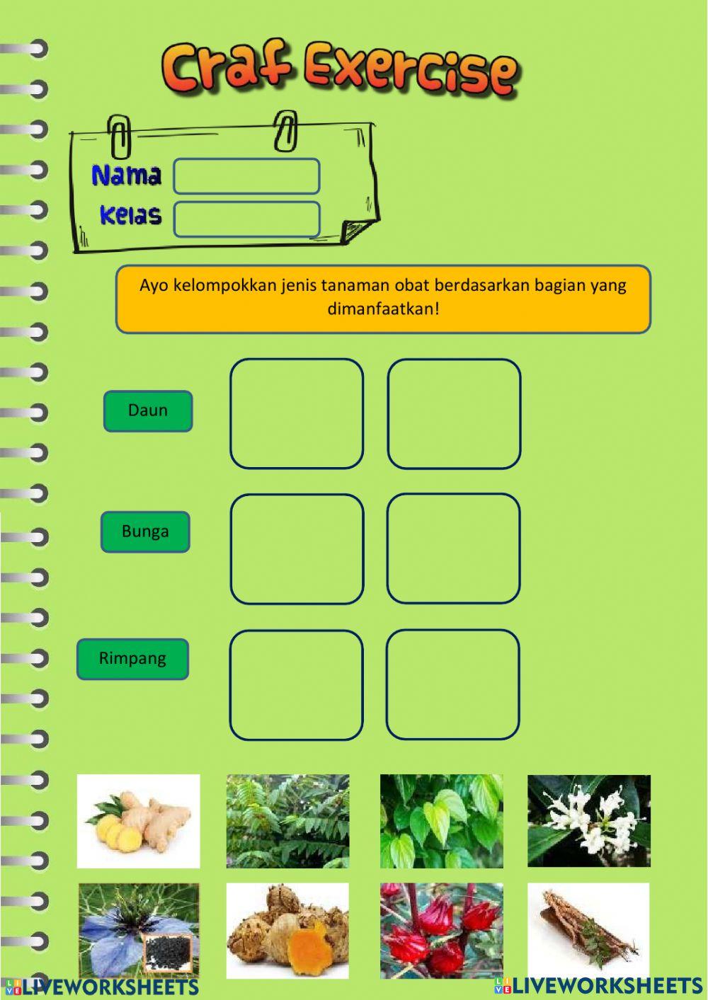Budidaya Tanaman Obat