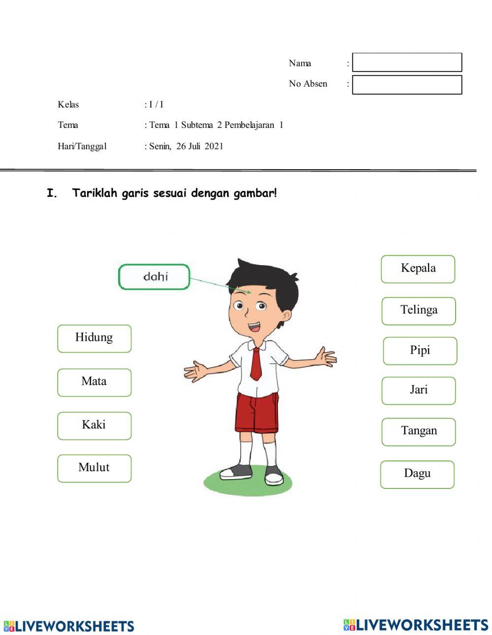 Kosakata Anggota Tubuh