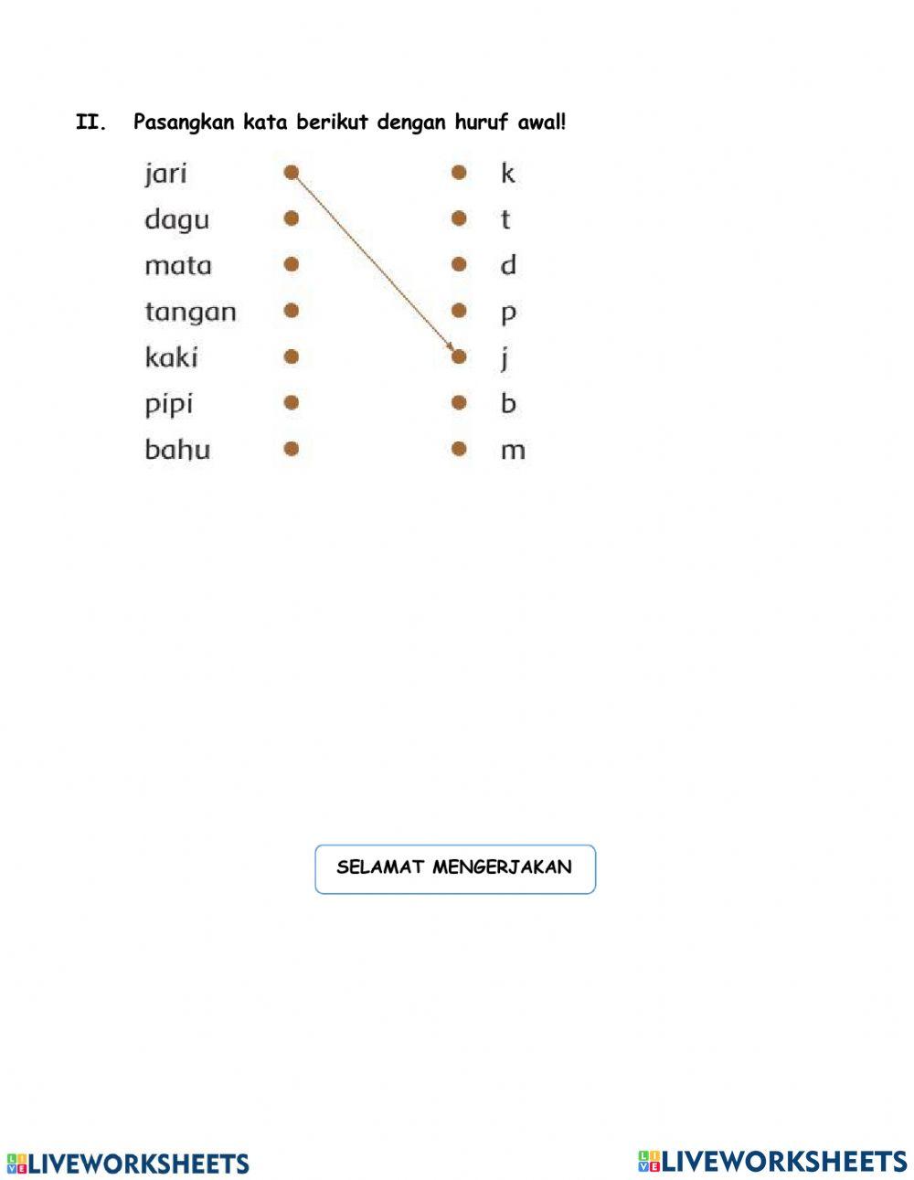 Kosakata Anggota Tubuh
