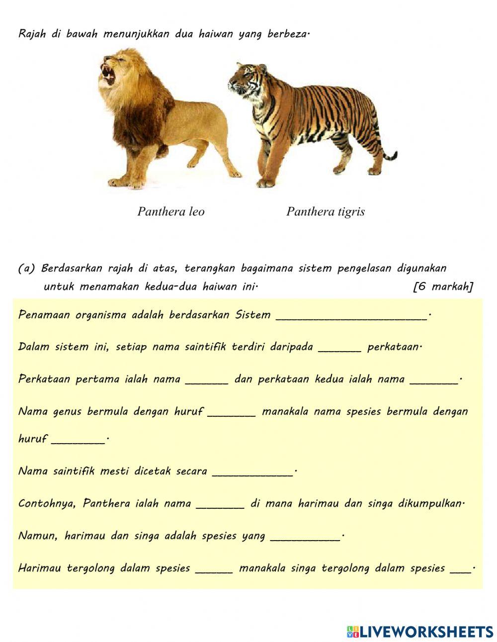 Sistem Pengkelasan Organisma