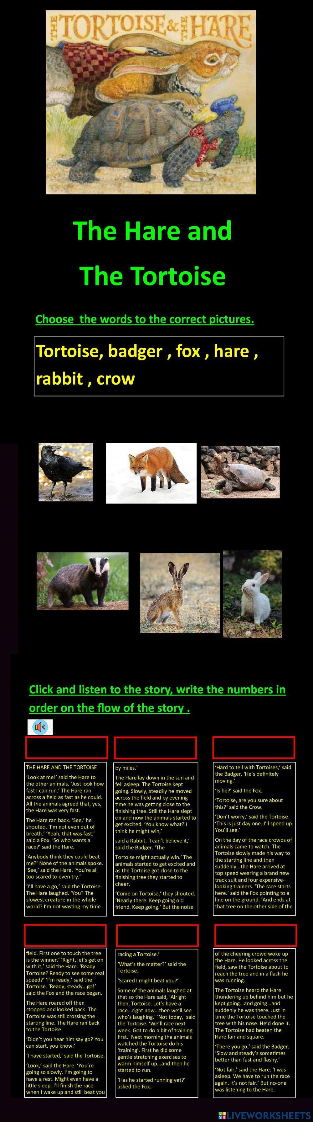 The Hare and The Tortoise